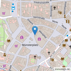 Münsterplatz 22