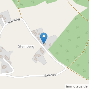 Steinberg 2