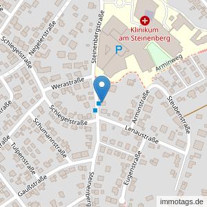 Steinenbergstraße 55